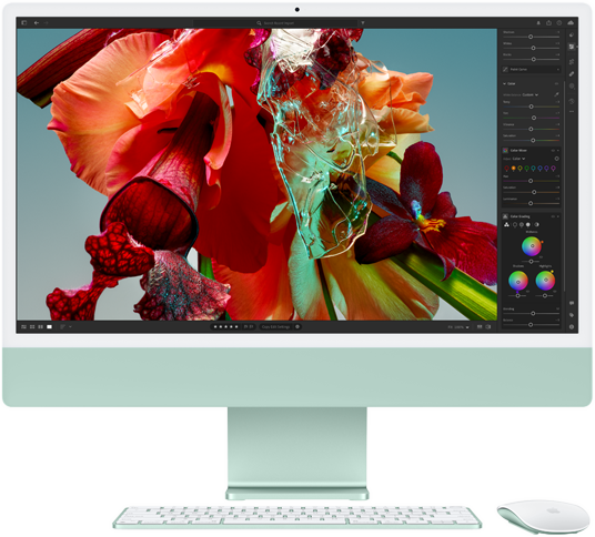 iMac-skärm som visar en färgstark blomma i Adobe Lightroom för att demonstrera färgomfånget och upplösningen på 4,5K Retina-skärmen.