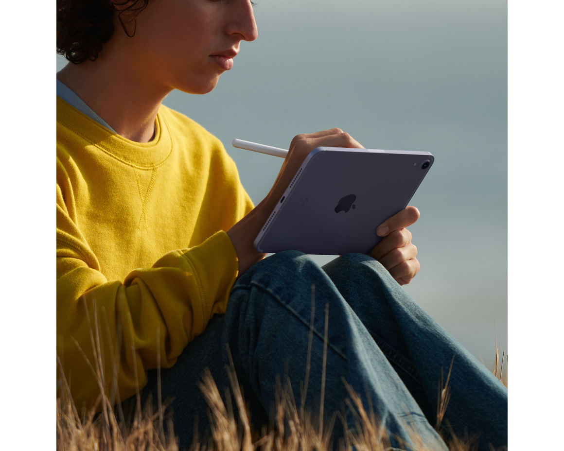 Apple iPad mini (2021) Wifi + Cellular 256 GB Rymdgrå