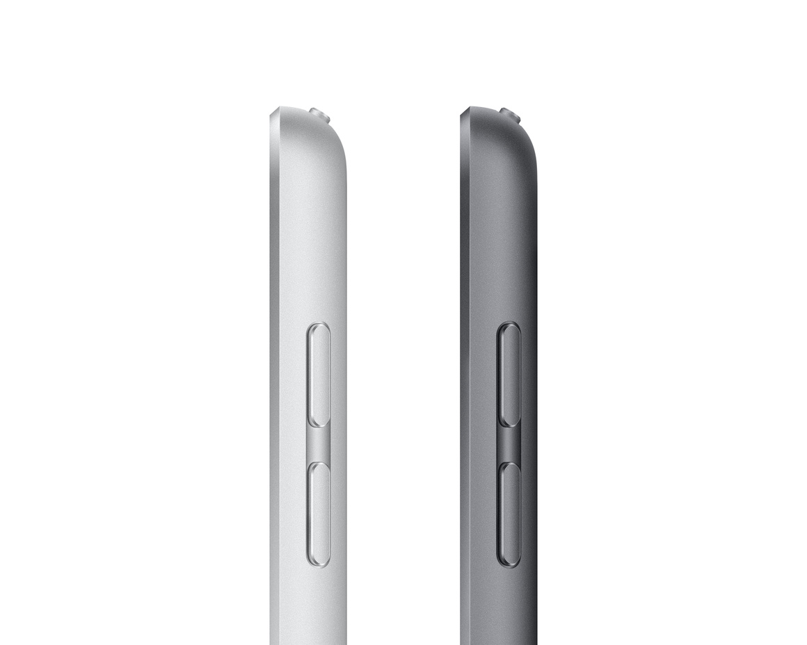 Apple iPad 10.2 (2021) Wifi + Cellular 256 GB Rymdgrå